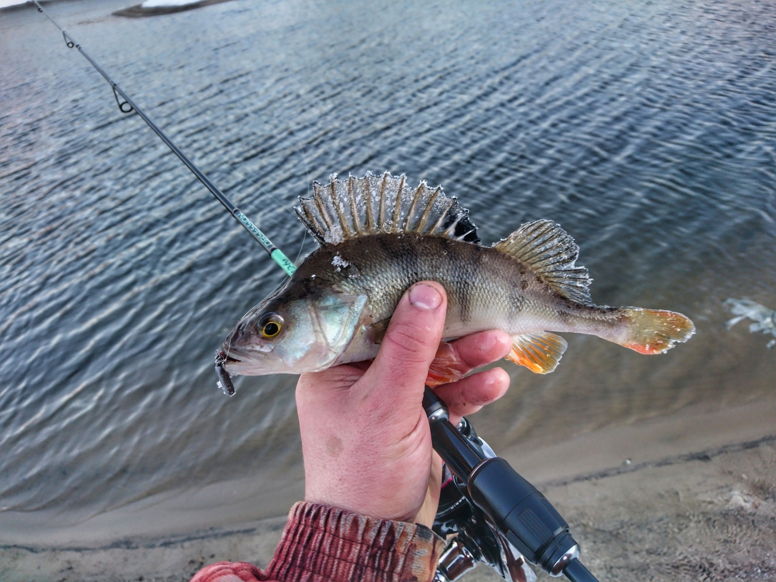 Lower Moscow - Moscow, Fishing, Winter, Longpost