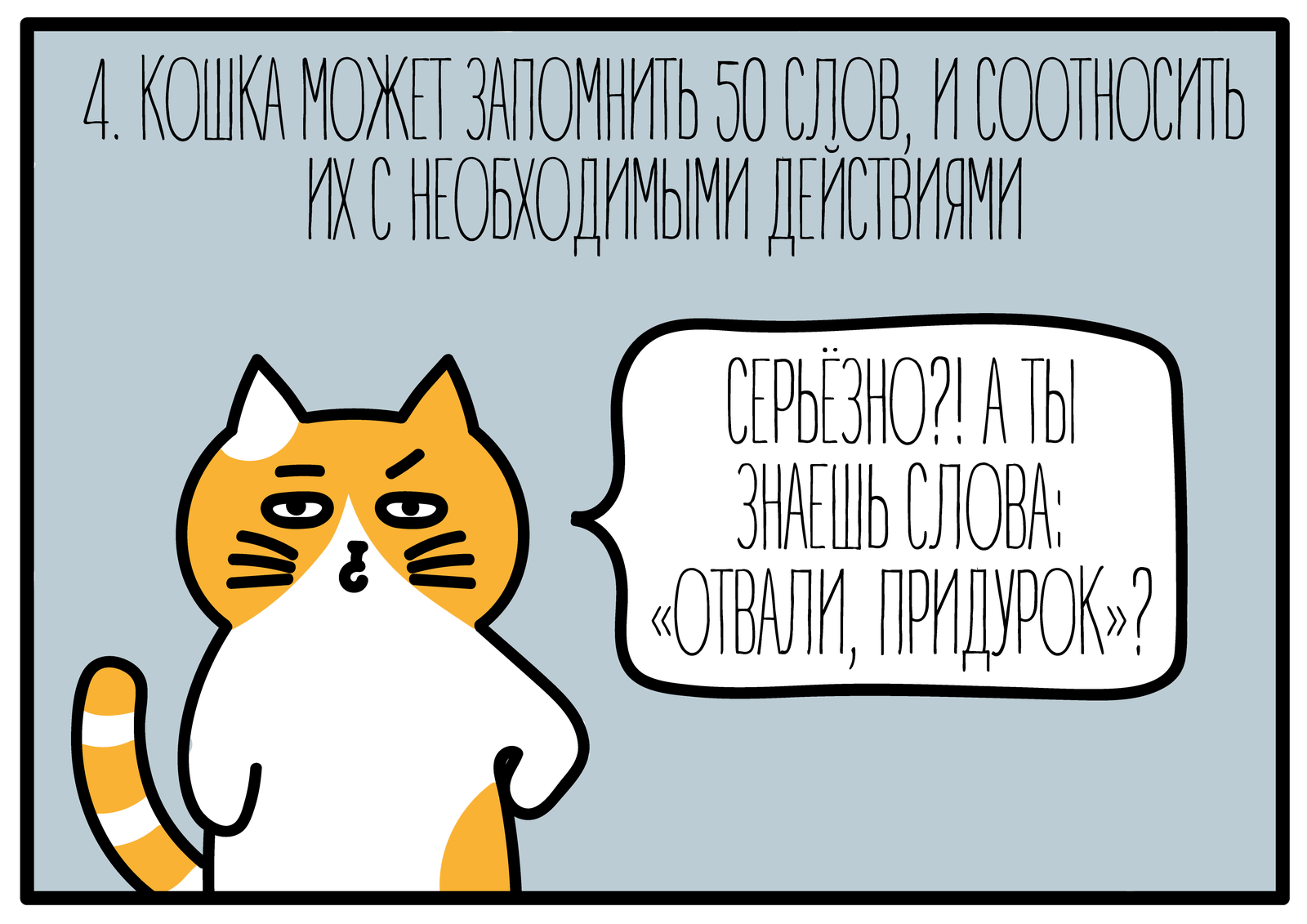 For the day of cats - My, cat, Comics, Illustrations, Longpost