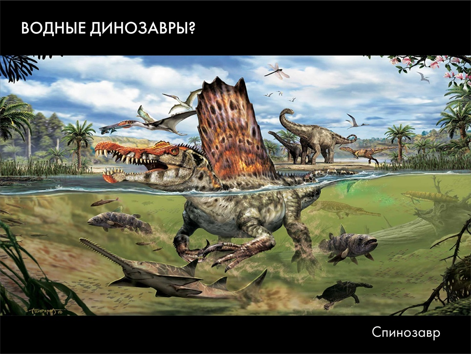 Paleontological Beasts and Where to Find Them: The Myths of the Omnipresent Dinosaurs. Part 1 - My, Paleontology, Dinosaurs, Pavel Skuchas, Anthropogenesis ru, Scientists against myths, Video, GIF, Longpost