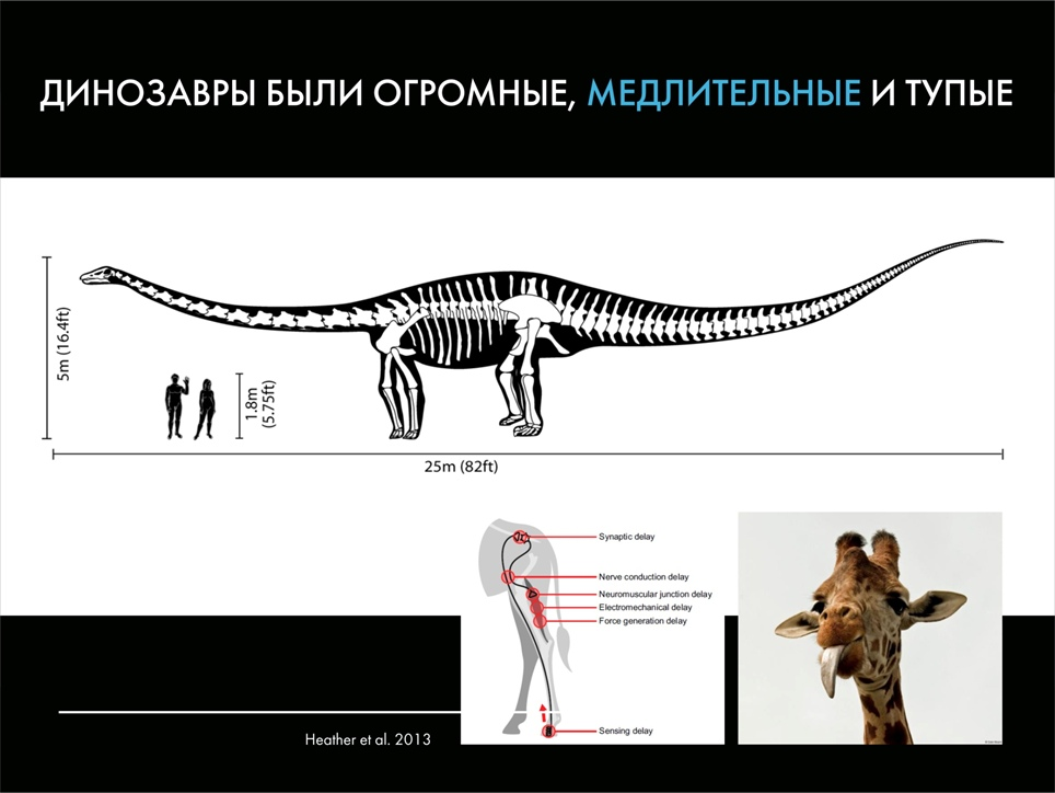 Палеонтологические твари и где они обитают: мифы о вездесущих динозаврах. Часть 2 - Моё, Палеонтология, Динозавры, Павел Скучас, Антропогенез ру, Ученые против мифов, Гифка, Длиннопост