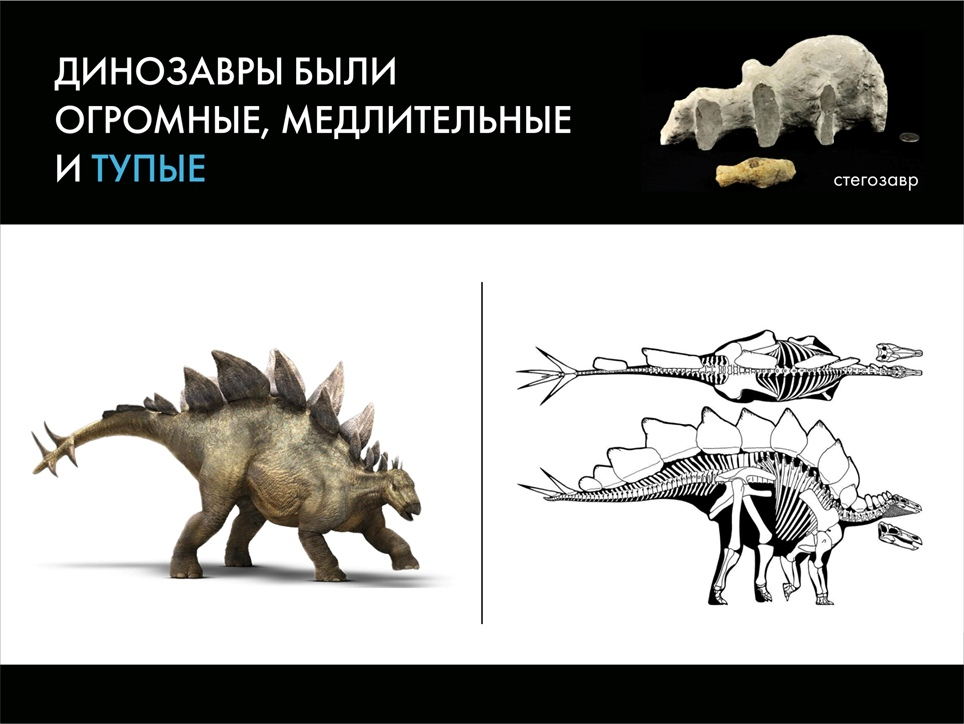 Динозавр части. Палеонтологические мемы. Мифы о динозаврах. Динозавры в мифологии. Известно что динозавры были наиболее прогрессивной группой.