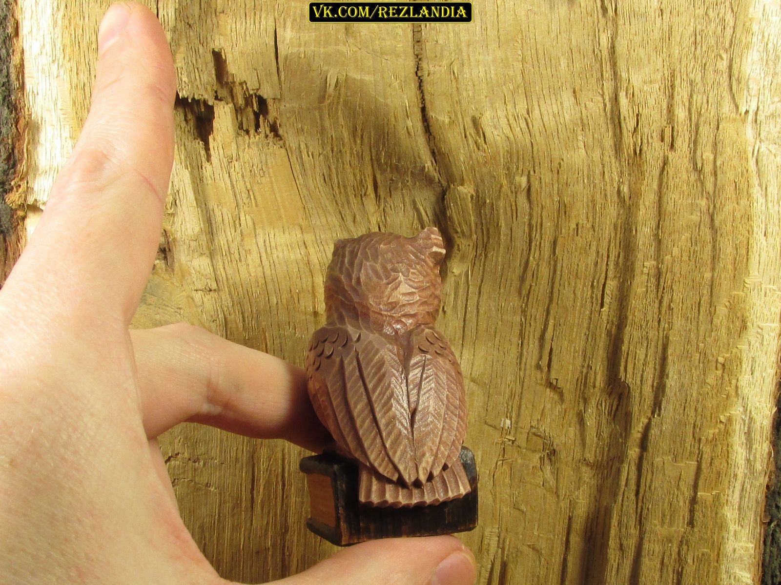 Two incisors - the owl is ready - My, Wood carving, With your own hands, Handmade, Owl, Miniature, Needlework with process, Longpost