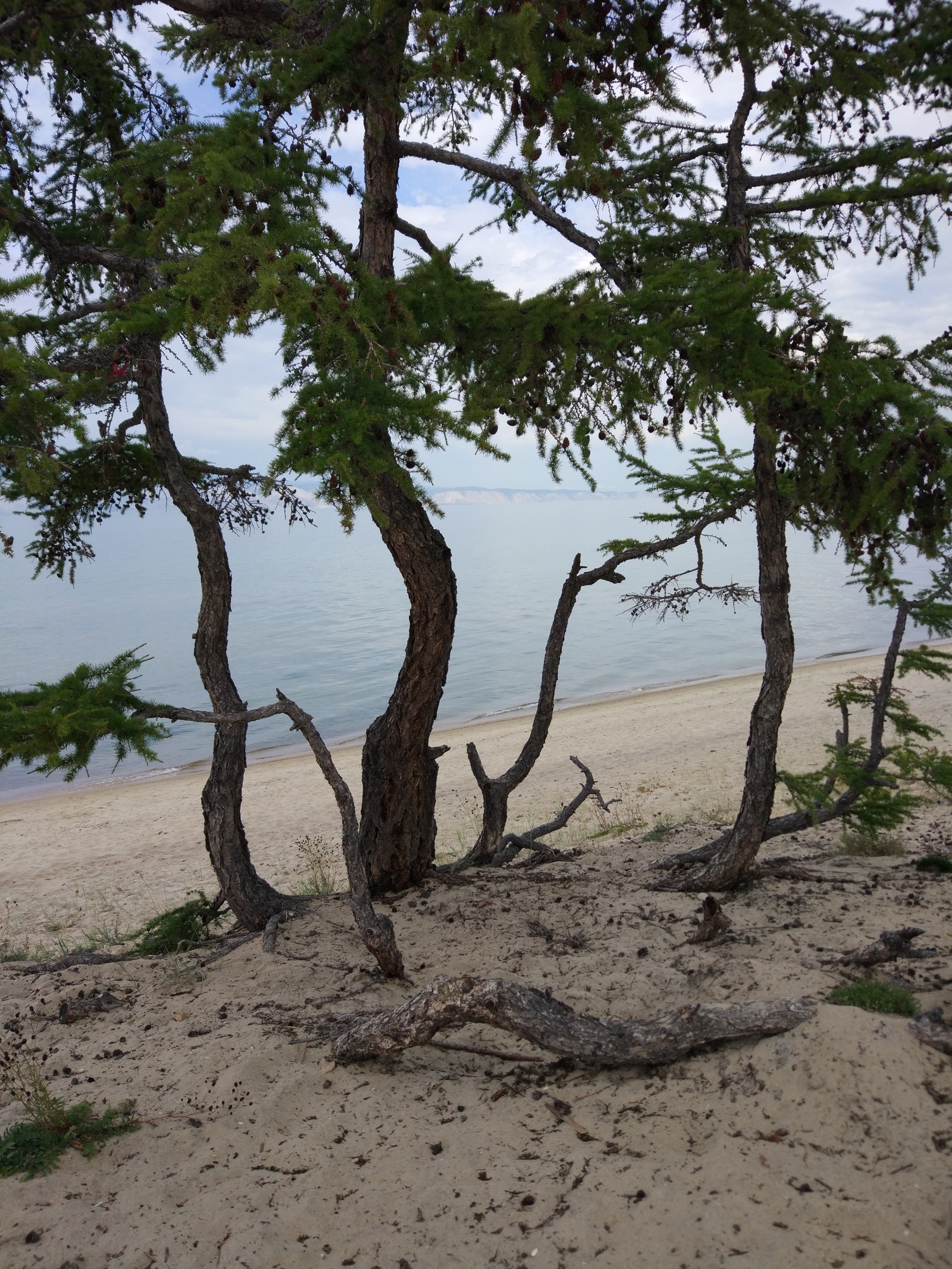 Summer Olkhon (Island of Baikal) - My, Baikal, Olkhon, Siberia, Beginning photographer, Summer, Longpost