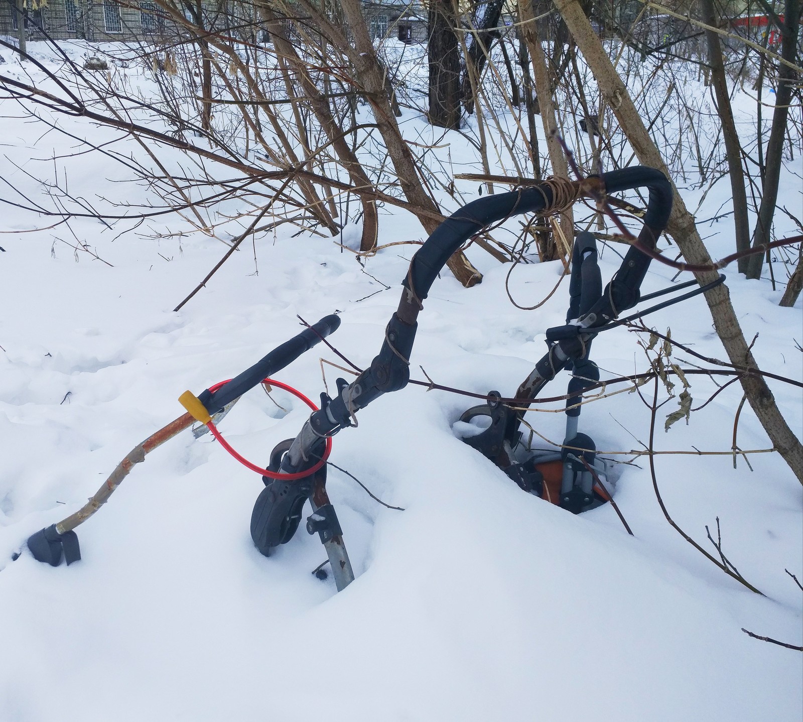 Double protection in the bushes - Bushes, Anti-theft system, Longpost