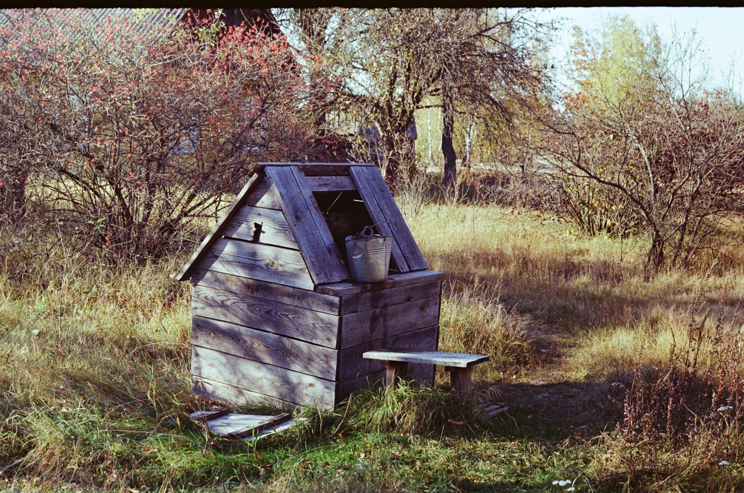 Мои пленочные работы - Моё, Начинающий фотограф, Пленка не умерла, Длиннопост