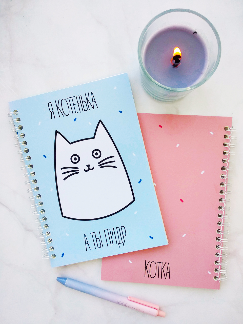 Filed notebooks - My, cat, Illustrations, Longpost