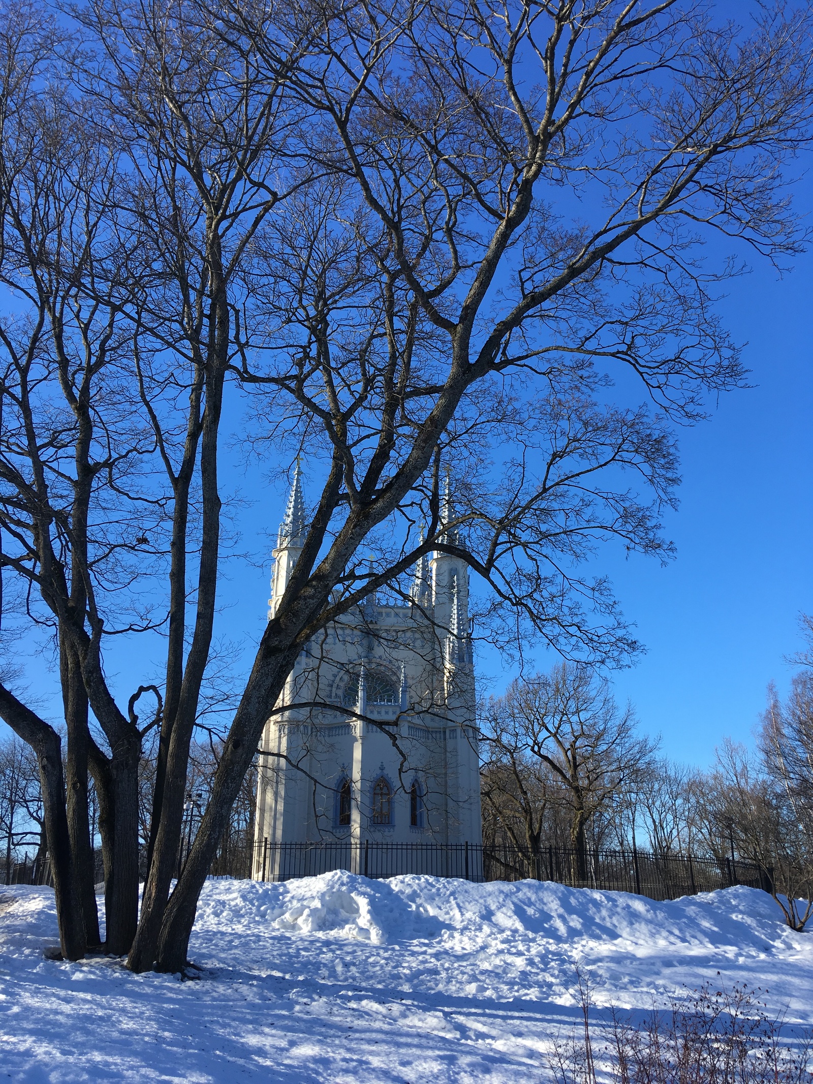 Александрия на лазурном фоне. - Санкт-Петербург, Александрия, Длиннопост