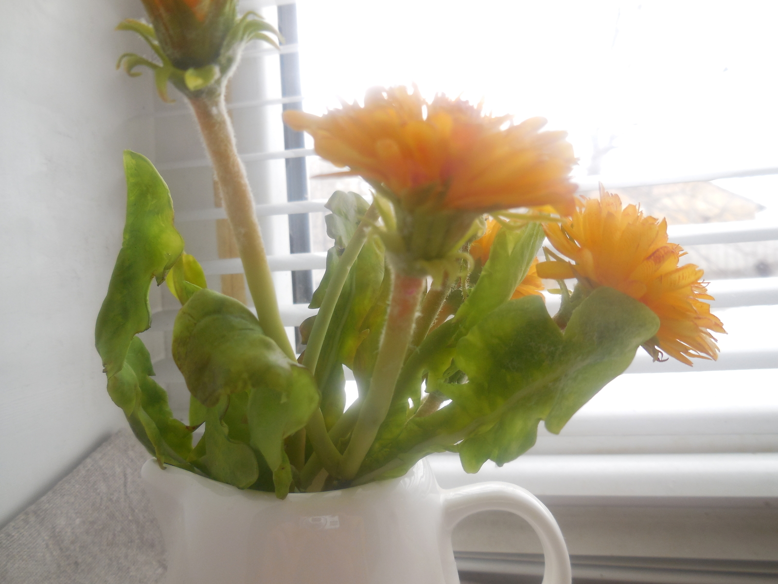 Bouquet of cold porcelain dandelions - My, Polymer floristry, Needlework without process, Flowers, Longpost, Cold porcelain, Dandelion