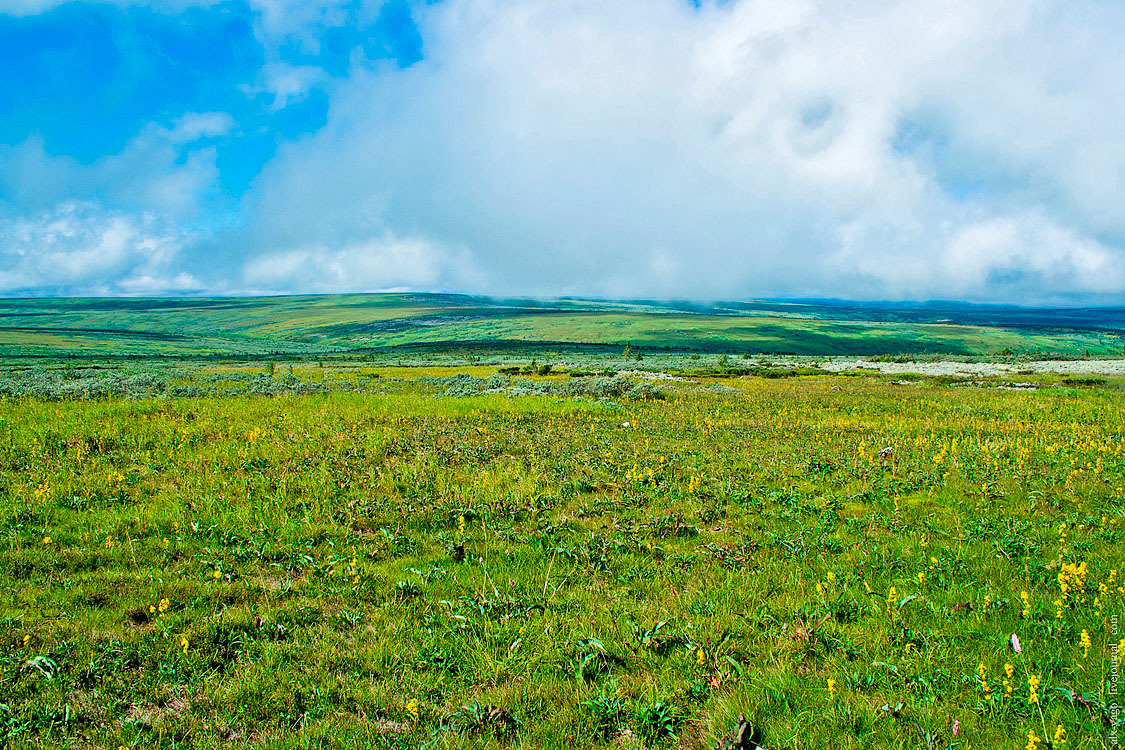 Journey to the Kvarkush Ridge. - My, Travels, The photo, Perm Territory, Kvarkush, Longpost