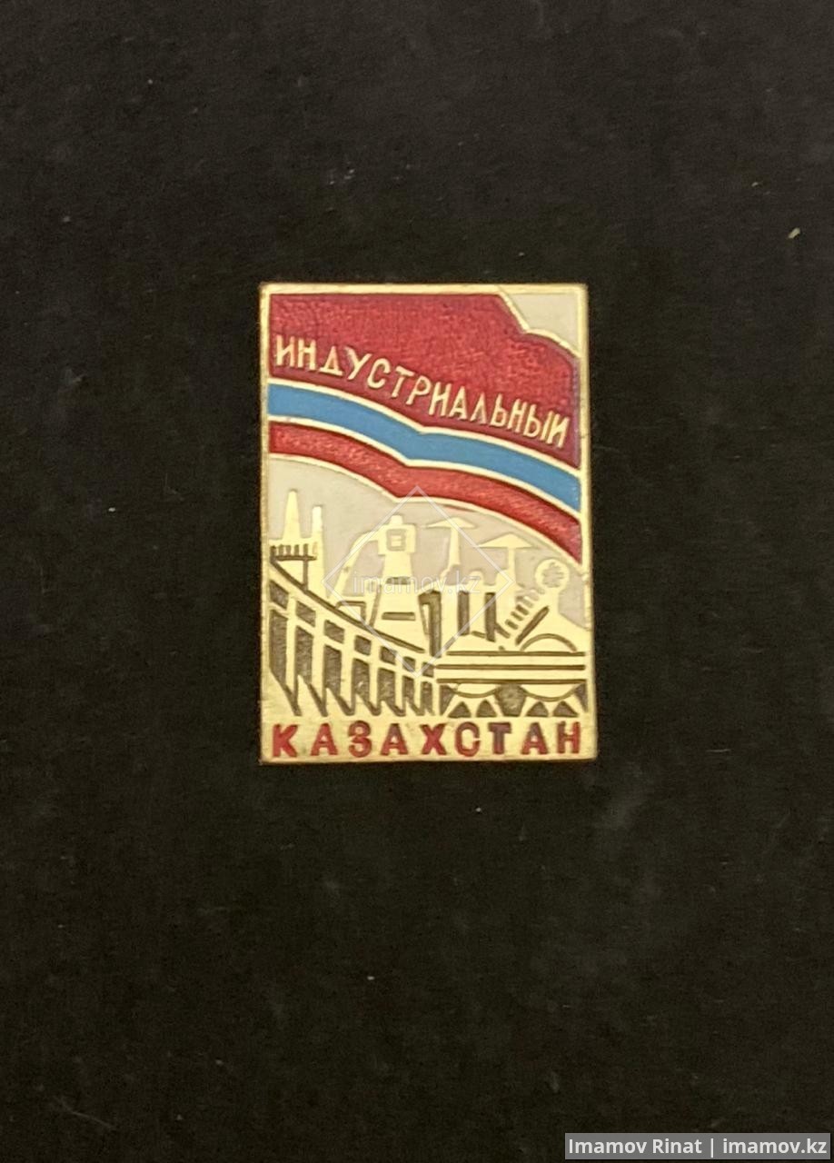 Значки Целинограда - Казахстана - СССР - Моё, Значок, Целиноград, Длиннопост