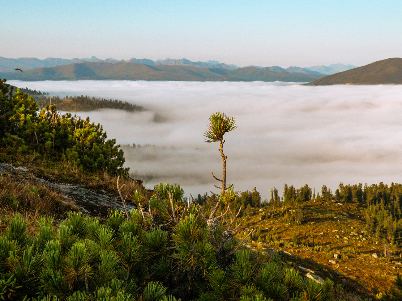 Case in September - My, Ergaki, Travels, Siberia, Landscape, Longpost, Krasnoyarsk region, The photo, Autumn, The mountains