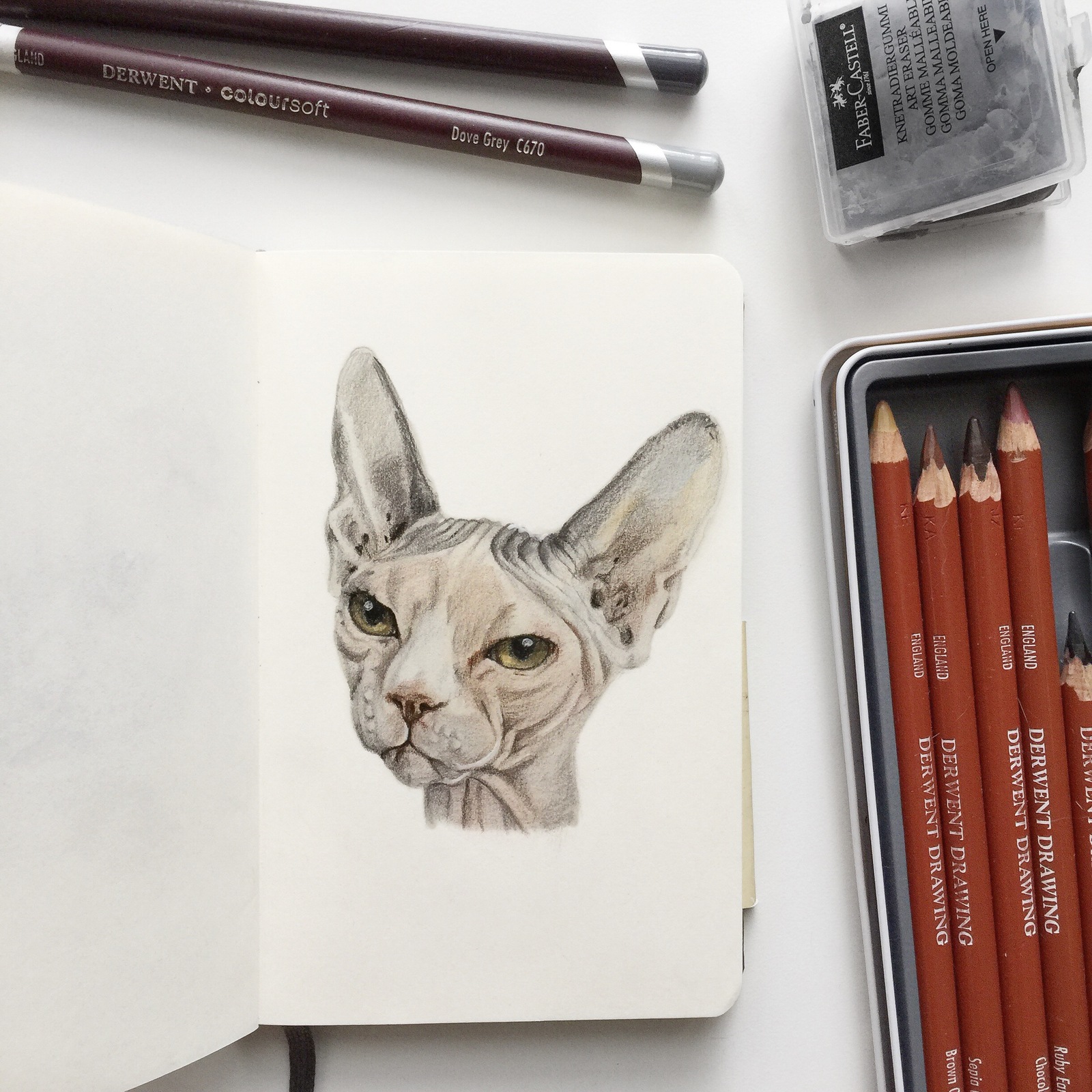 Cats - My, cat, Kittens, Art, Colour pencils, Longpost, Animals, Portrait, Animalistics, Drawing