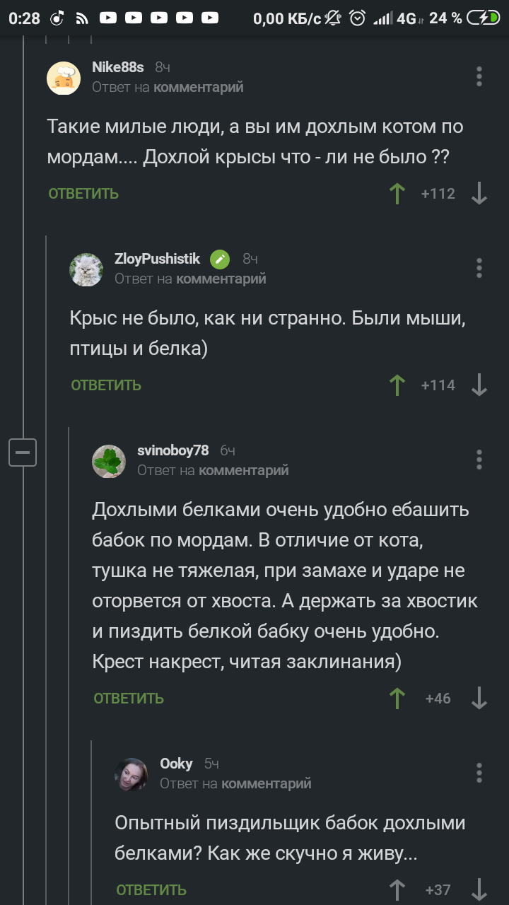 Воспитательные шлепки хвостом по морде. - Комментарии, Животные, Злые бабки, Кот, Белка, Бобры, Длиннопост, Комментарии на Пикабу, Скриншот