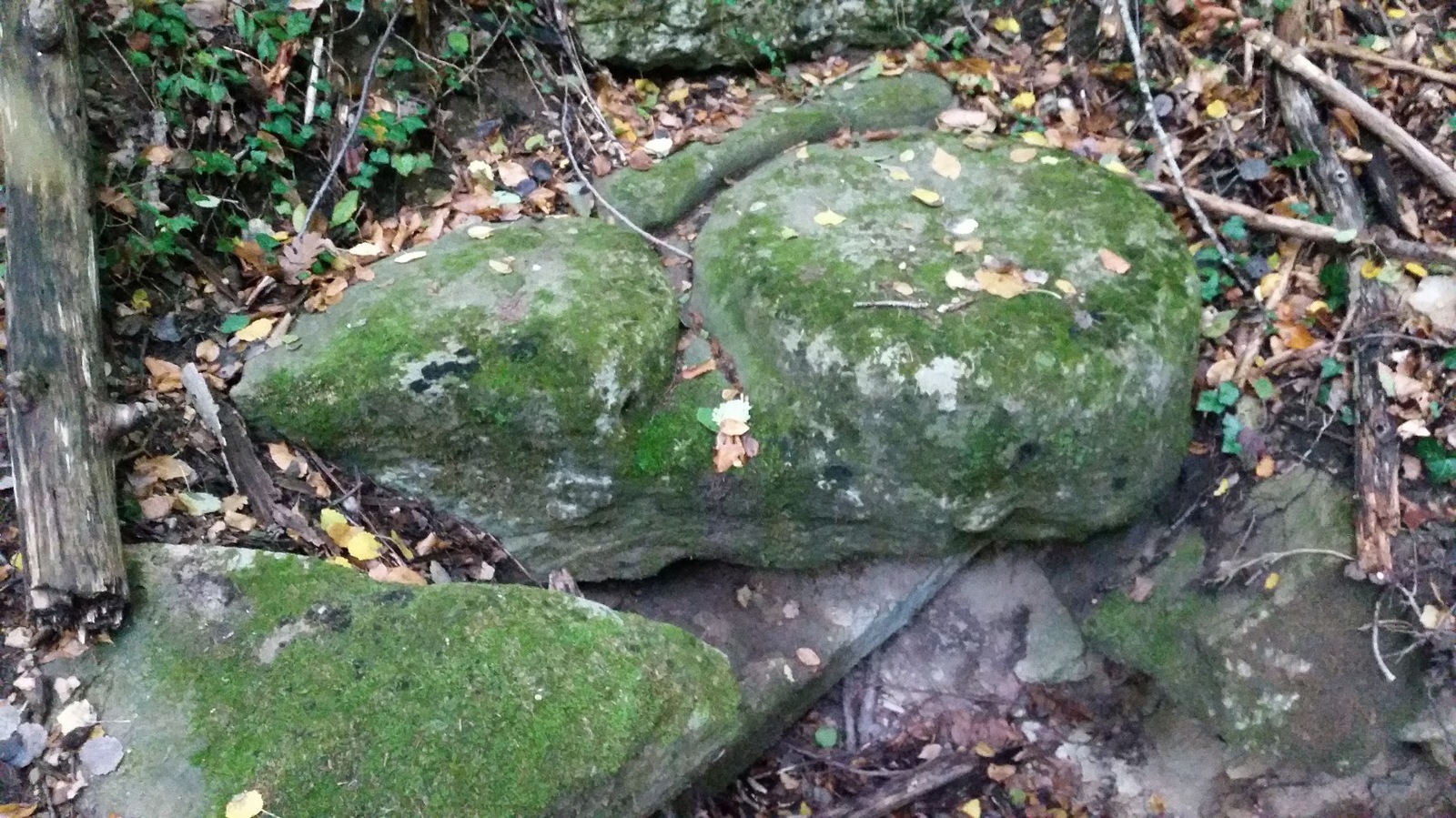 What could it be? - My, No rating, A rock, Crimea, Dolmens, Forest, Ruins, Longpost