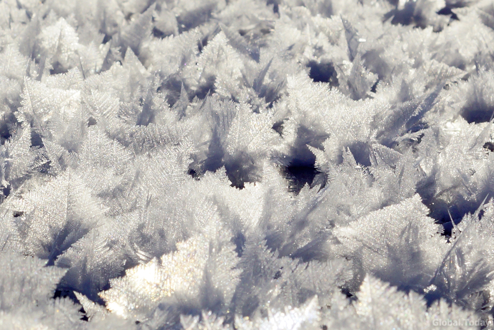 Winter flowers of Baikal. - My, Baikal, Baikalsk, The photo, Photographer, Nature, Landscape, Winter, Irkutsk, Longpost