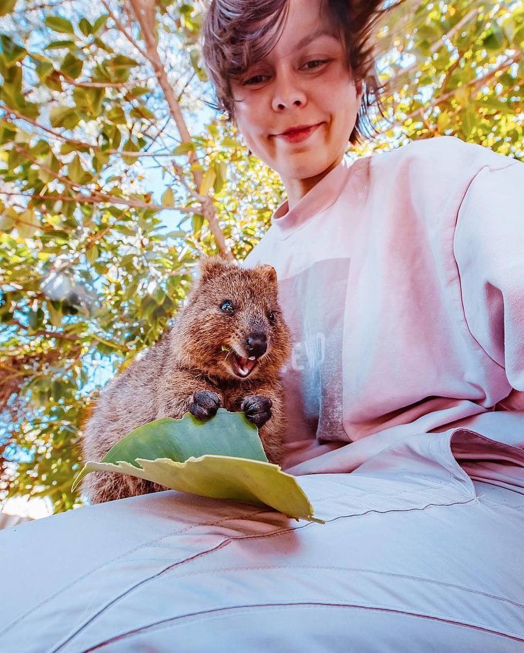 15 shots of cheerful quokkas from a photographer from Moscow who flew to Australia just for them - Quokka, Australia, Longpost, Animals