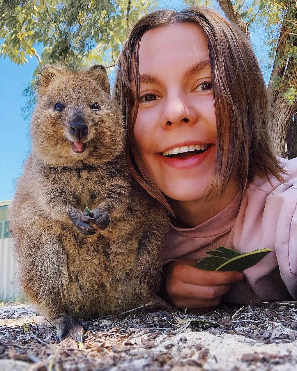 15 shots of cheerful quokkas from a photographer from Moscow who flew to Australia just for them - Quokka, Australia, Longpost, Animals