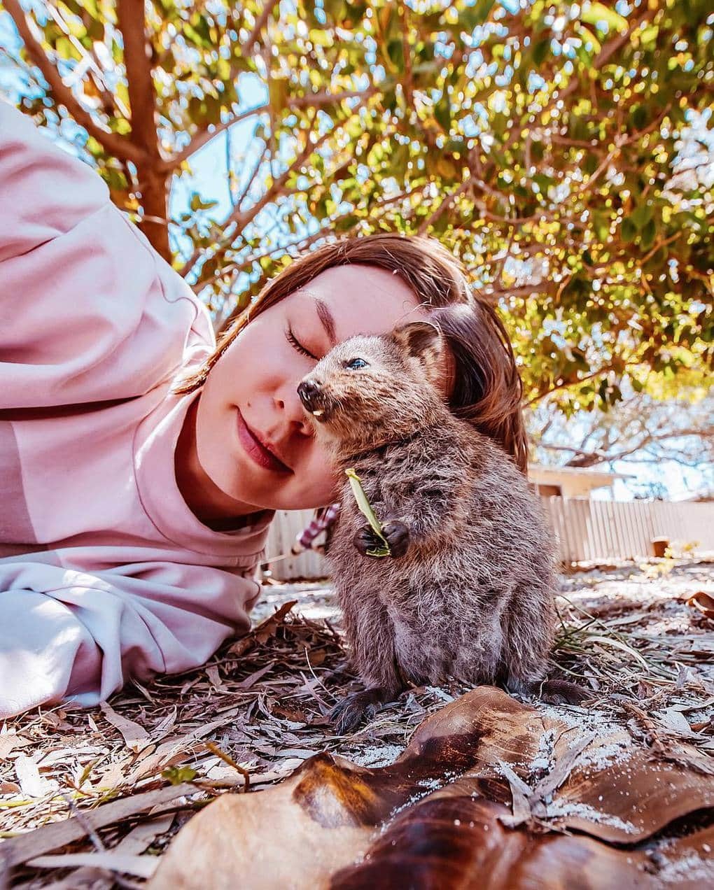 15 shots of cheerful quokkas from a photographer from Moscow who flew to Australia just for them - Quokka, Australia, Longpost, Animals