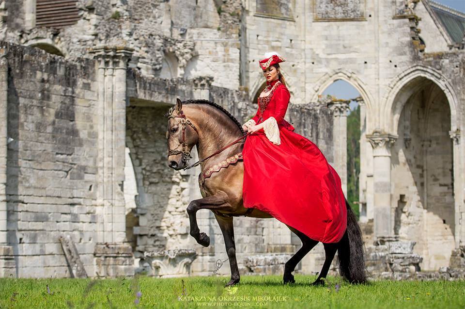 beauty - Horses, Girls, Beautiful girl, Longpost