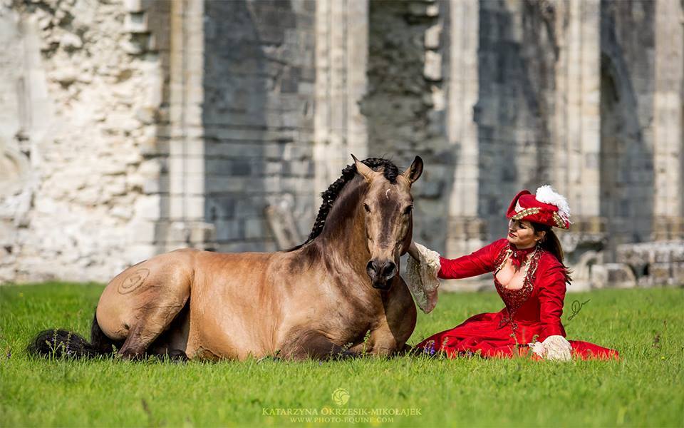 beauty - Horses, Girls, Beautiful girl, Longpost