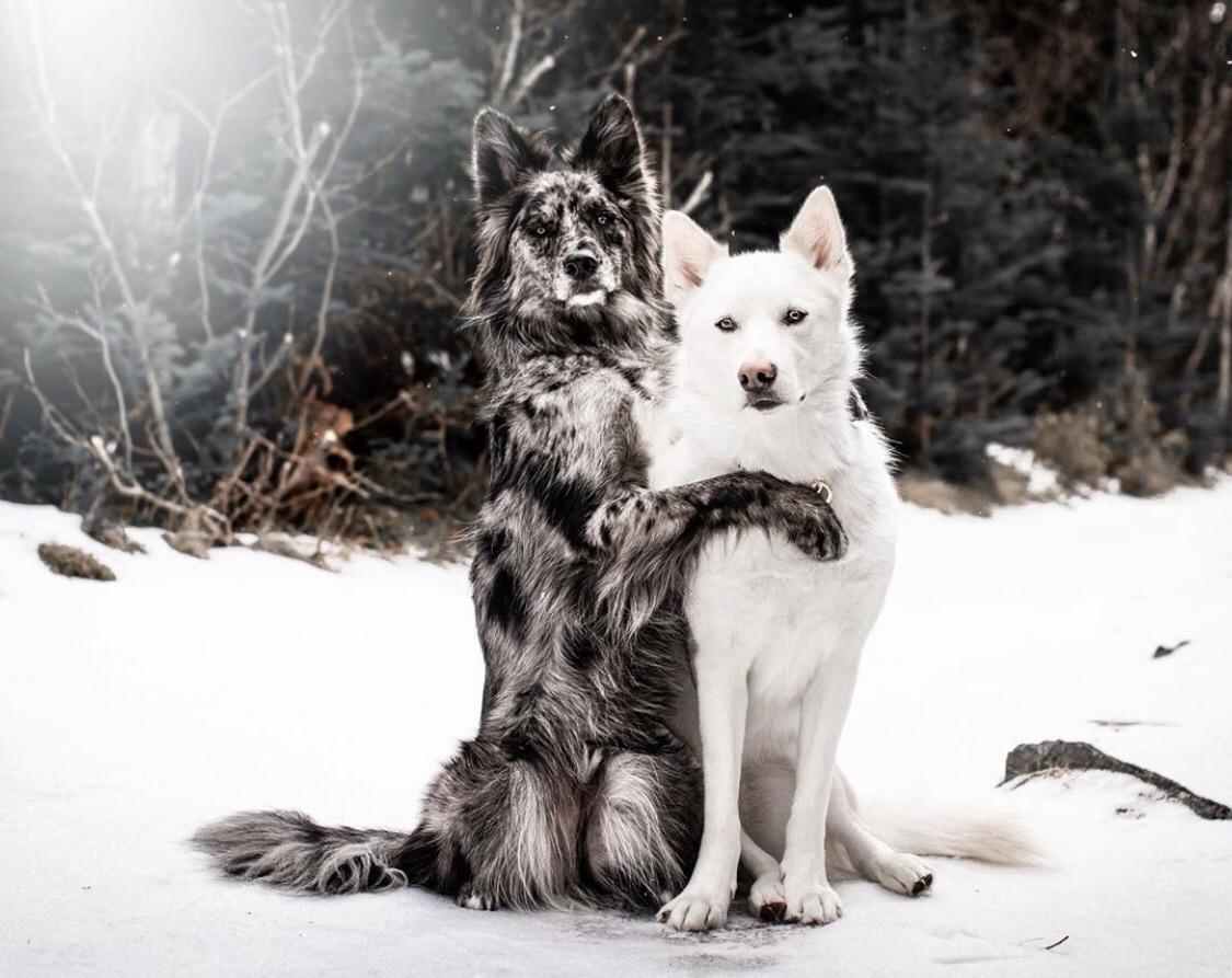 С другом | Пикабу