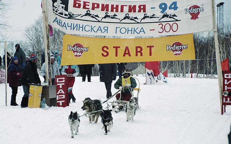 Race past volcanoes. - Beringia, Dog sled, Petropavlovsk-Kamchatsky, Дальний Восток, Longpost, Race