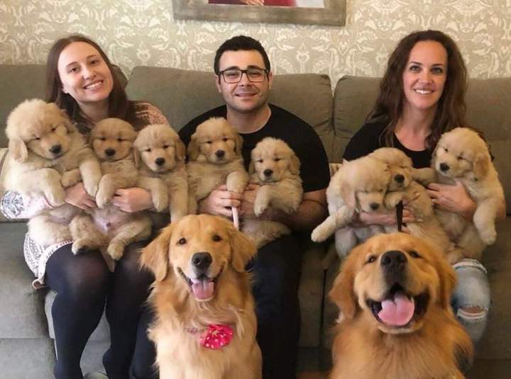 Photo of a happy couple with children ... - Dog, Dogs and people, Smile, Puppies, Family