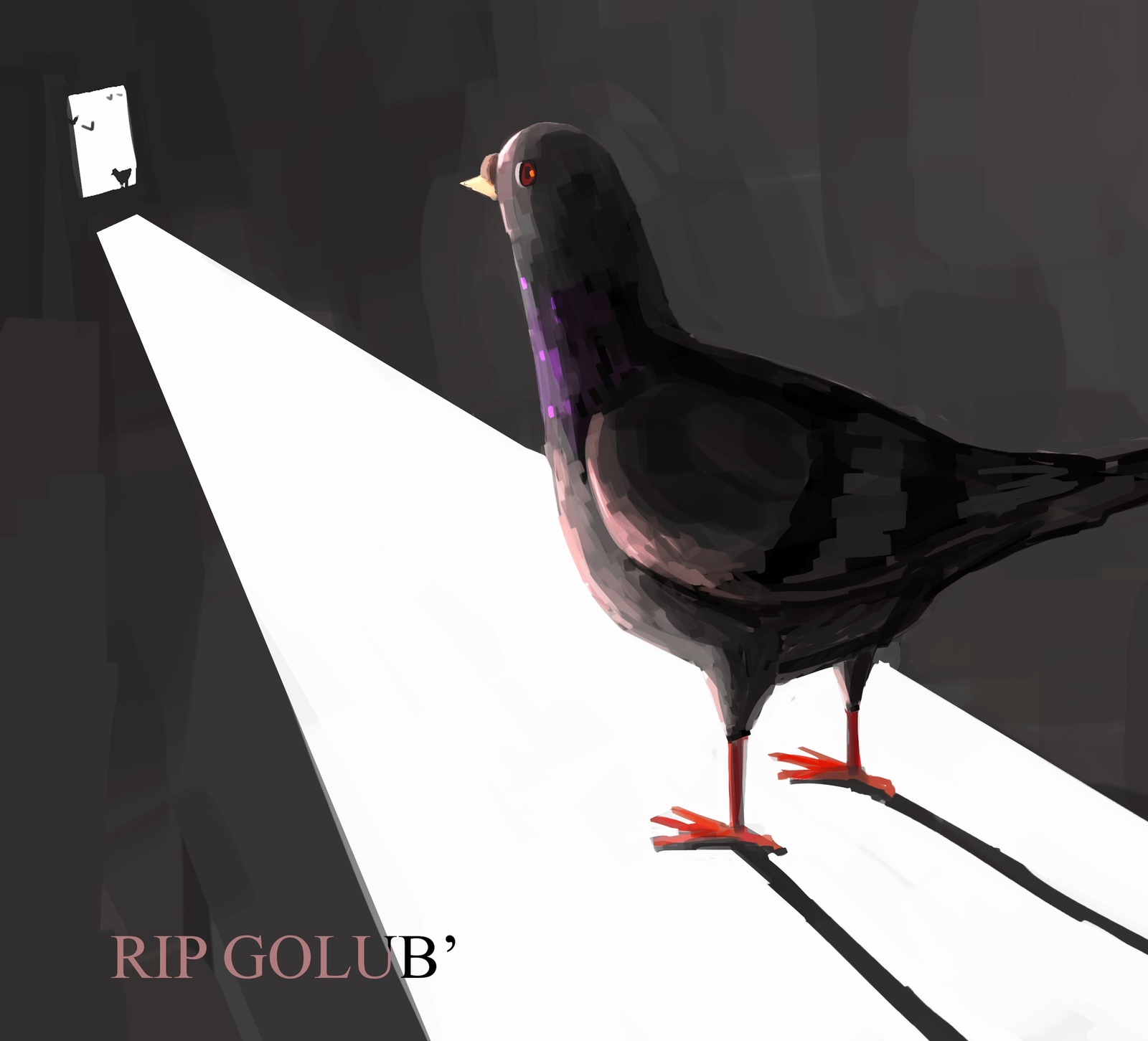 Broken by loneliness. Killed by indifference. - My, Pigeon, Death, Sadness, All ashes, , Indifference, Loneliness, Longpost