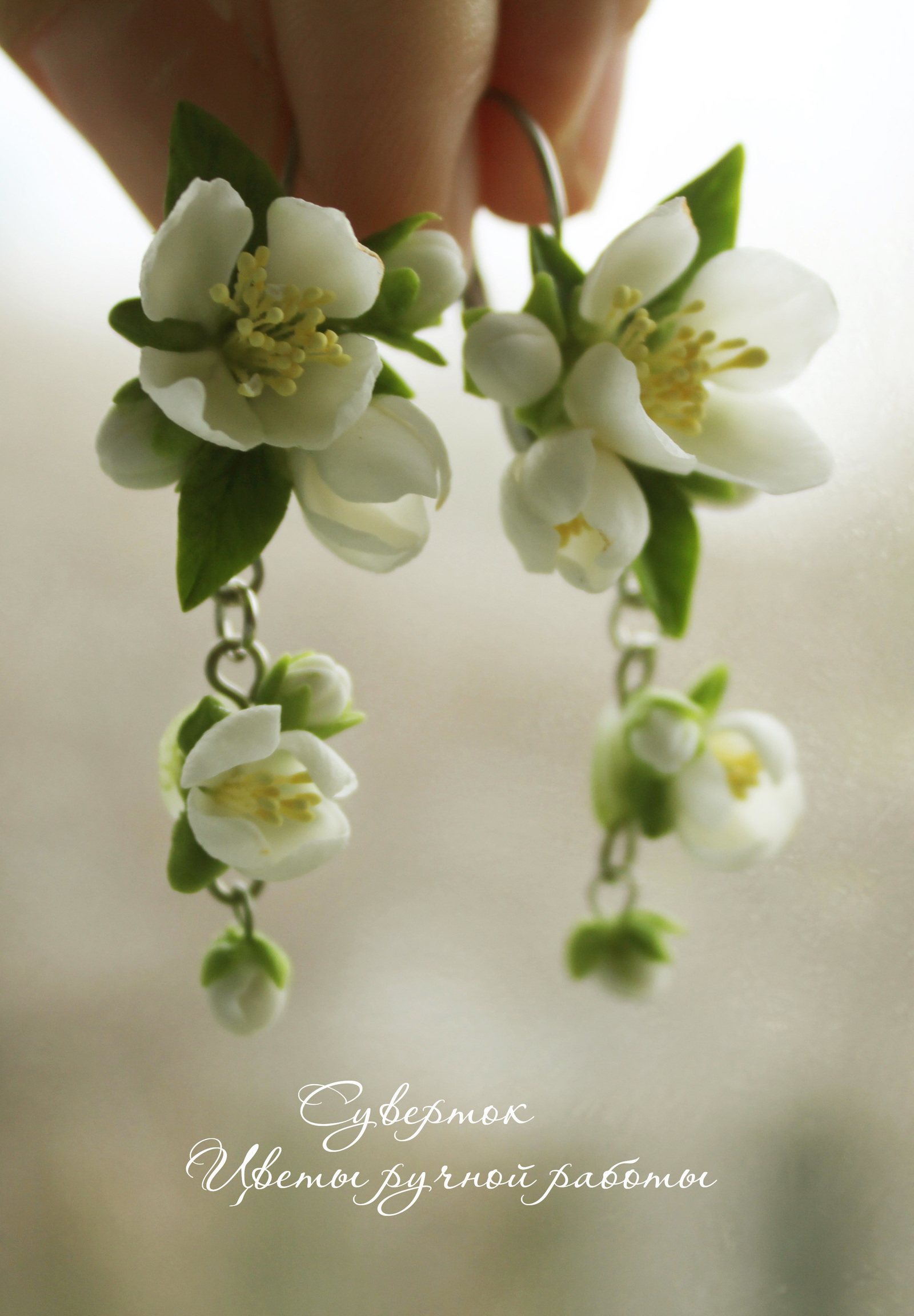 Красивые фото жасмина — 100 изображений жасмина в цветении