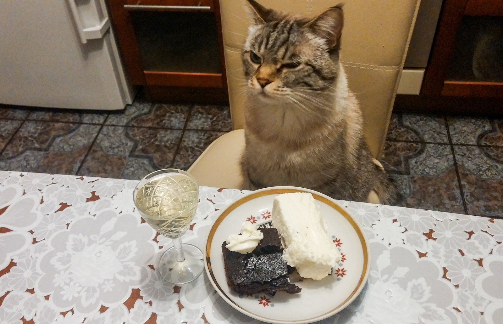 Again, this is it... - My, cat, Pretending, Cake, Squint, Meal, Food