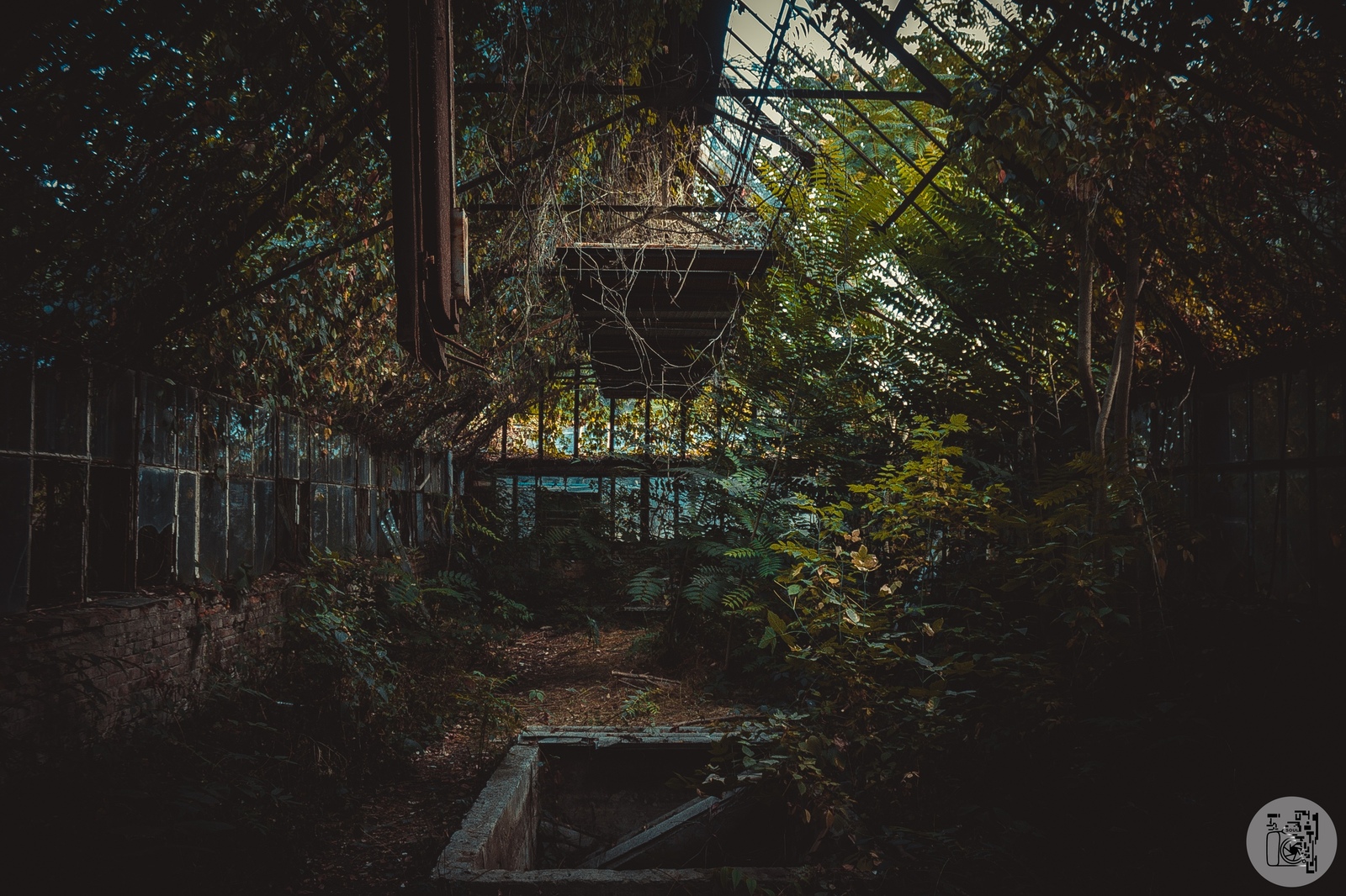 Abandoned greenhouse - My, Urbanphoto, Abandoned, Abandoned place, Rostov-on-Don