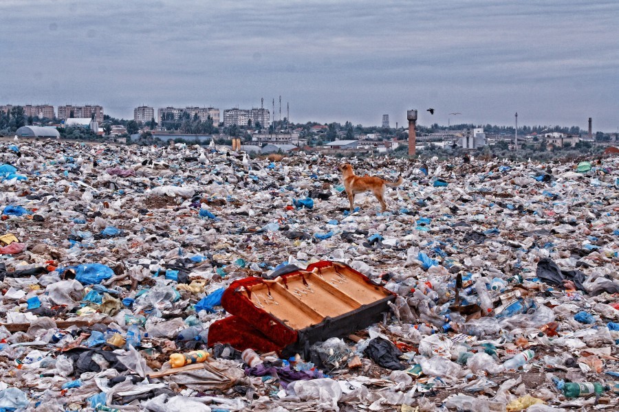 Not a city, but a garbage pit. How did we let this happen? - Garbage, Saint Petersburg, Longpost