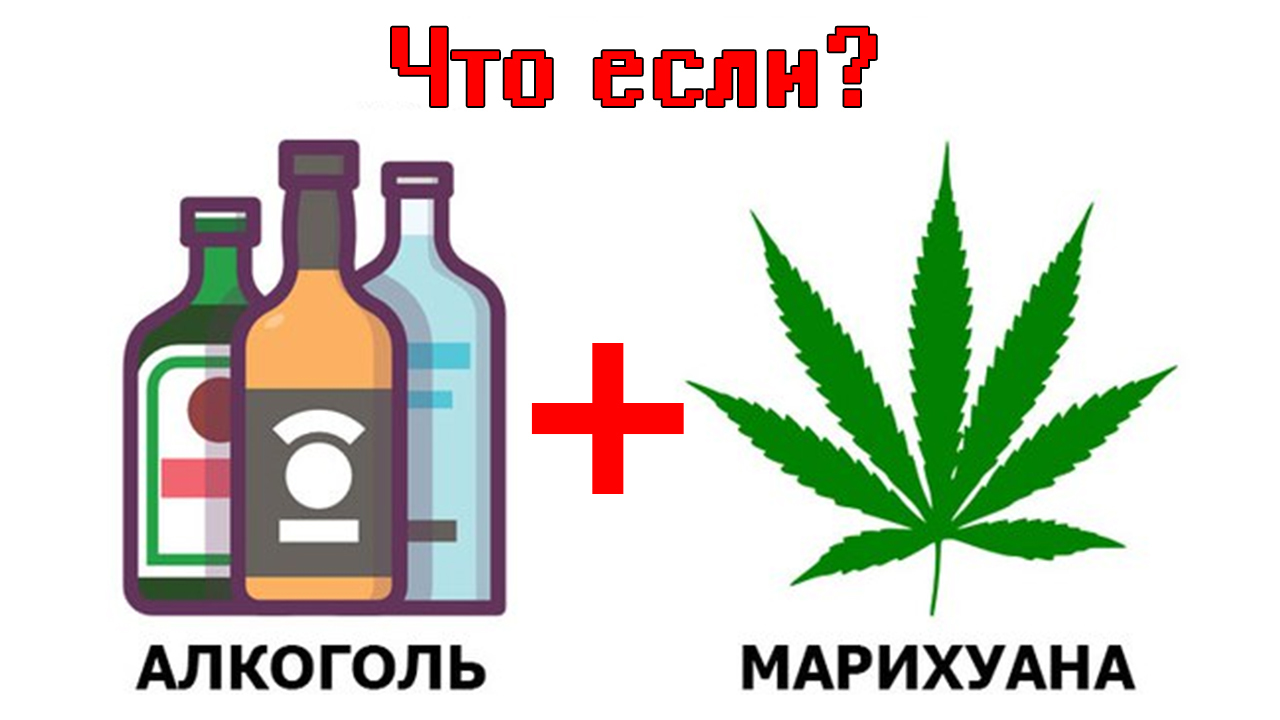 Море алкоголя и марихуаны скачать браузер тор бесплатно на русском на компьютер hydraruzxpnew4af