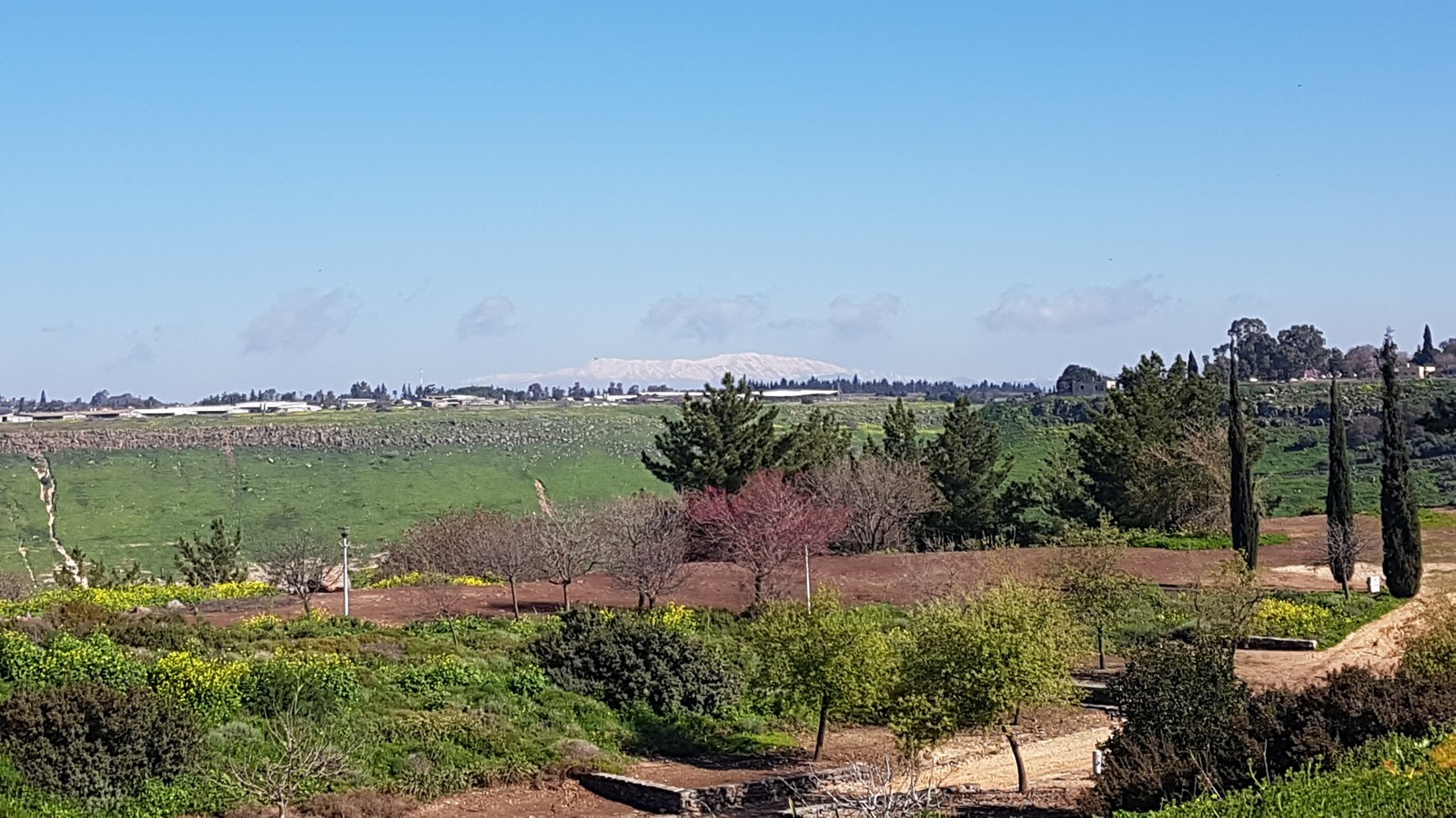 Israel in two photos - My, Israel, Nature, Desert