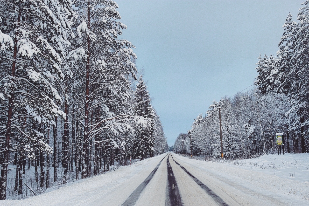 Forests and roads of Belarus. - My, Forest, Road, Winter, Landscape, Republic of Belarus, Longpost