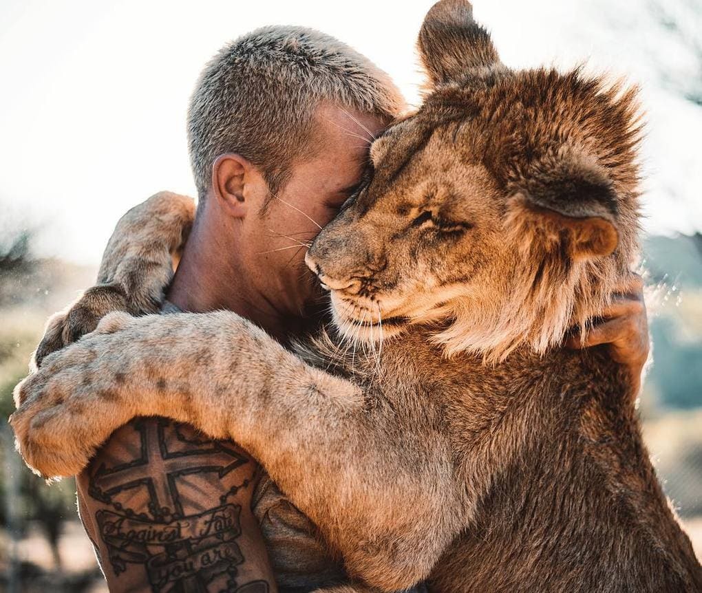 A 26-year-old guy quit his prestigious job, sold his property and went to Africa to save wild animals. - Africa, a lion, Animals, Longpost, Dean Schneider