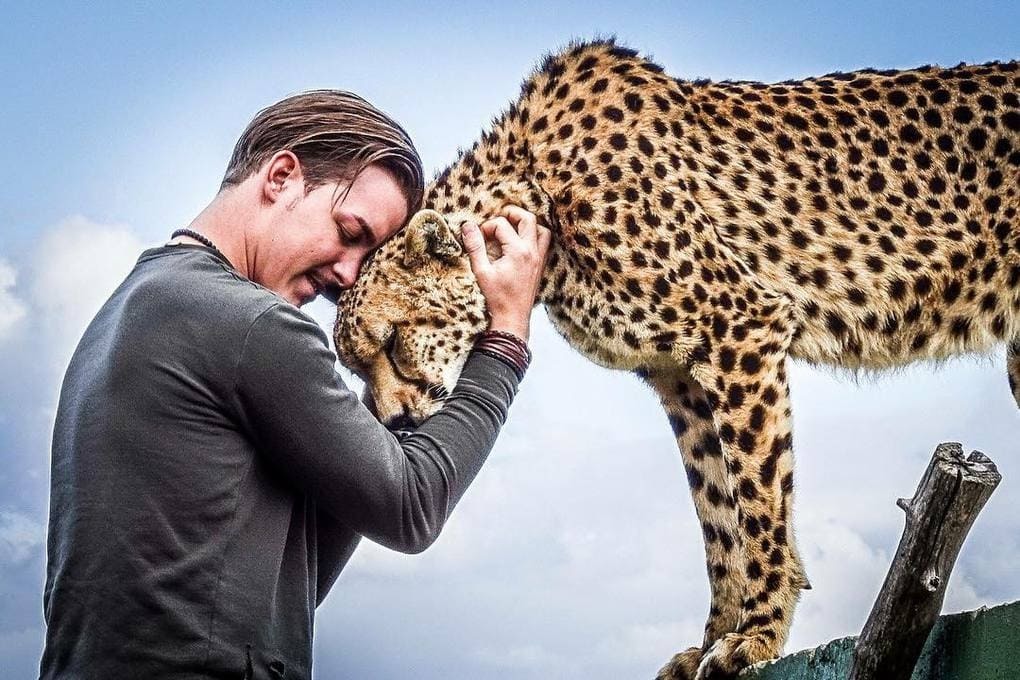 A 26-year-old guy quit his prestigious job, sold his property and went to Africa to save wild animals. - Africa, a lion, Animals, Longpost, Dean Schneider