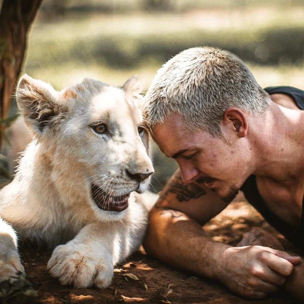 A 26-year-old guy quit his prestigious job, sold his property and went to Africa to save wild animals. - Africa, a lion, Animals, Longpost, Dean Schneider