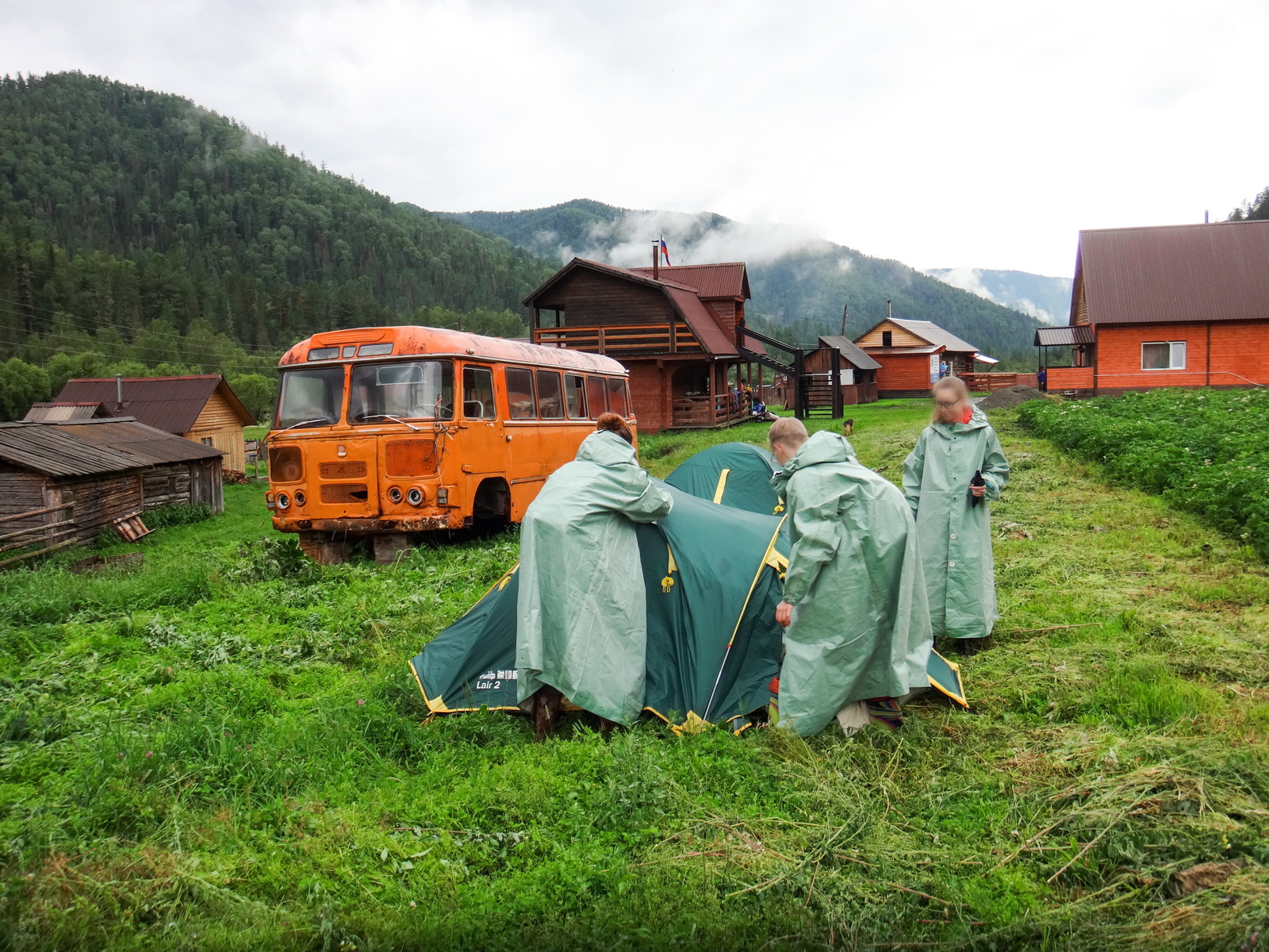 Koony trip across Altai. - My, Hike, The photo, Mountain Altai, Horses, Longpost, Altai Republic