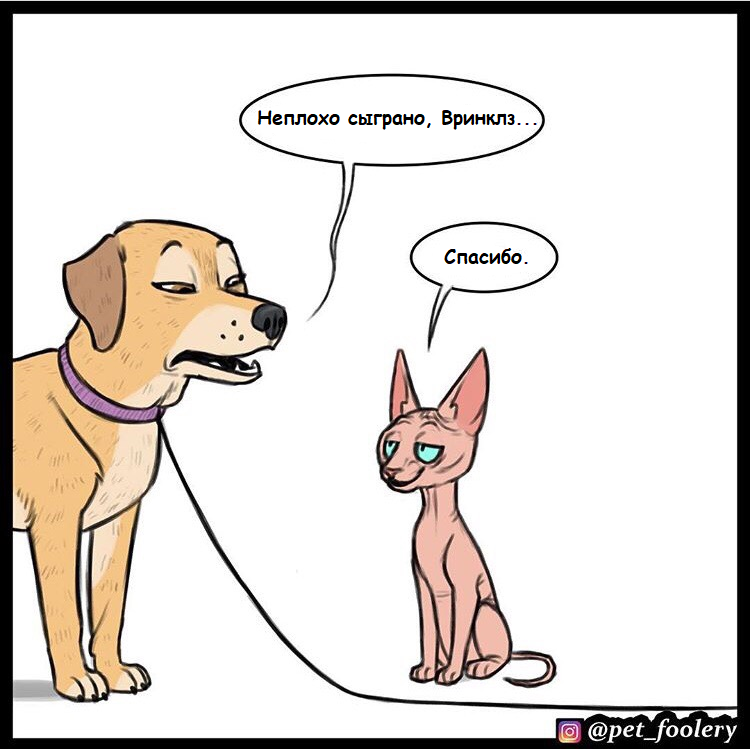 Sweet revenge - cat, Dog, Comics, Translated by myself, Pets, Pet foolery, Longpost, Lola and Mr. Wrinkle