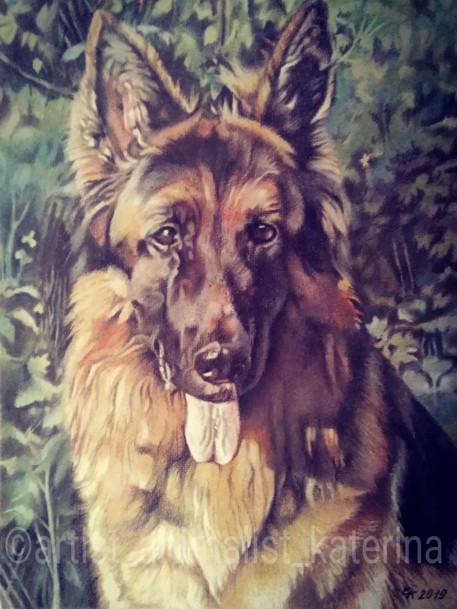 I draw with colored pencils and pastels. - My, Portrait, Dog, Pencil drawing, Drawing, Pastel, Artist, Longpost