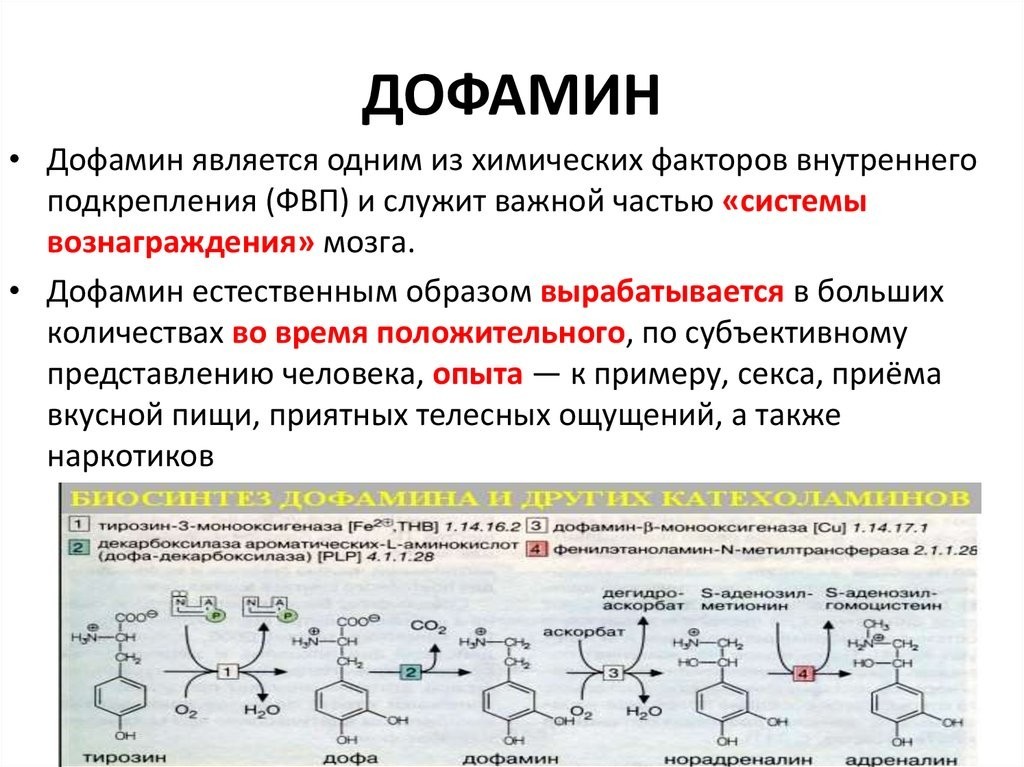 Игровая зависимость или мама, я последнюю катку и спать... - Моё, Игры, Зависимость, Медицина, WOW, Длиннопост