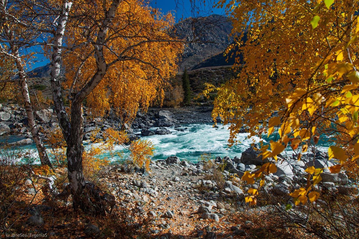 Another Planet or Altai is not for everyone. - My, Altai, Mountain Altai, Road trip, Longpost, Longtext, Russia, Travels, Altai Republic