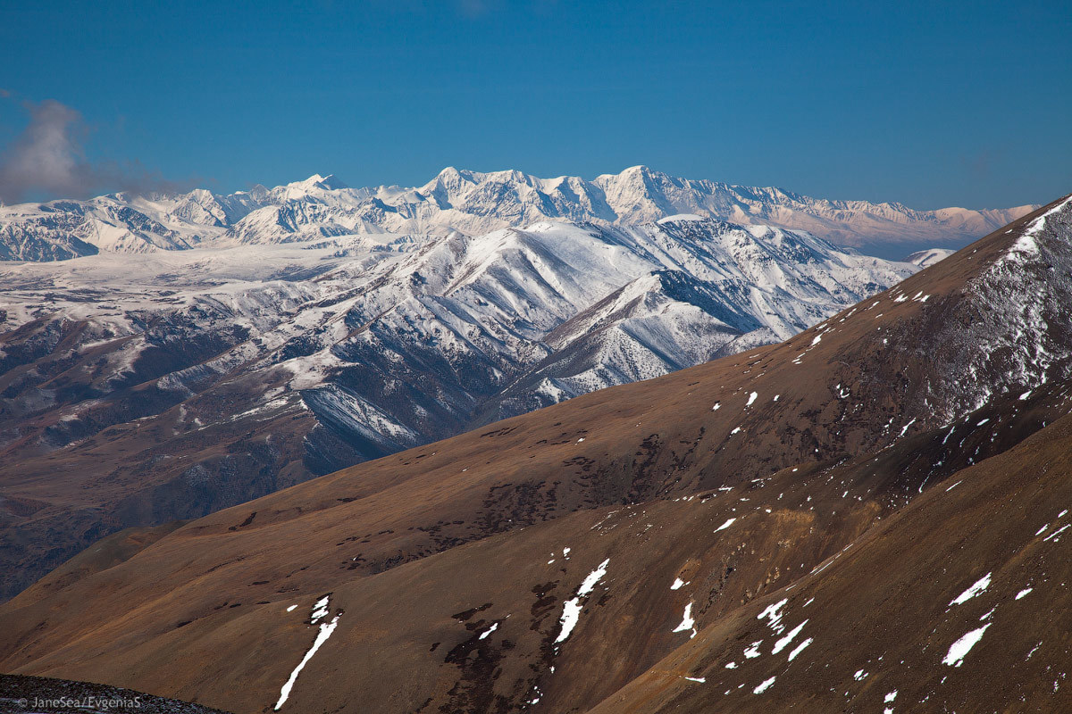 Another Planet or Altai is not for everyone. - My, Altai, Mountain Altai, Road trip, Longpost, Longtext, Russia, Travels, Altai Republic