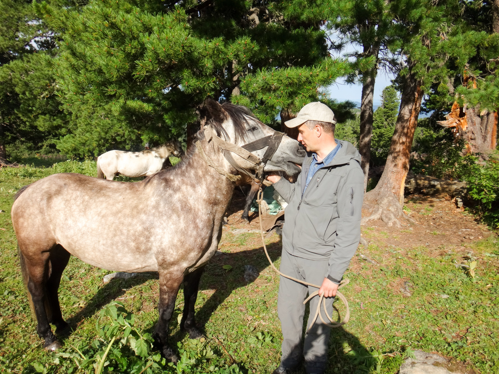 Horseback riding in Altai. - My, Mountain Altai, Horses, Hike, The photo, Longpost, Altai Republic