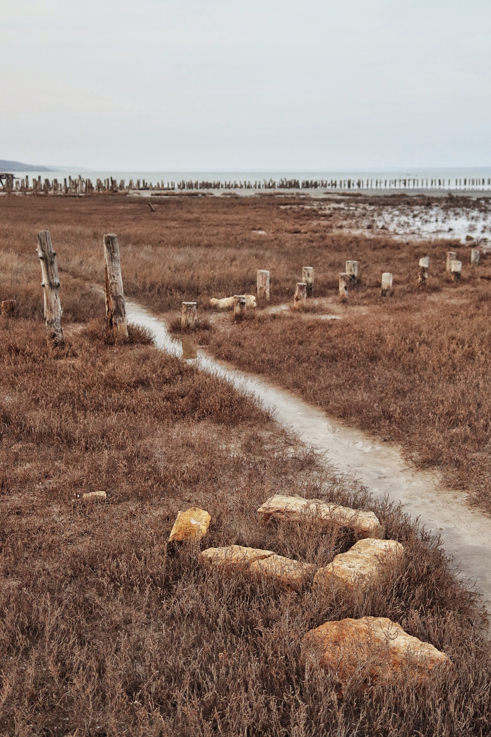 Odessa Kuyalnik - My, Nature, Kuyalnik, Odessa, The photo, Abandoned, Longpost