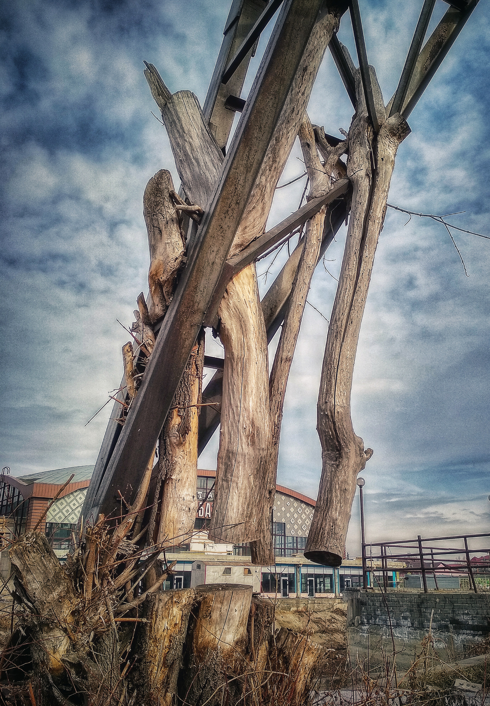 Struck but not broken - My, The photo, Confrontation, Tree, Power lines, Barnaul, Longpost