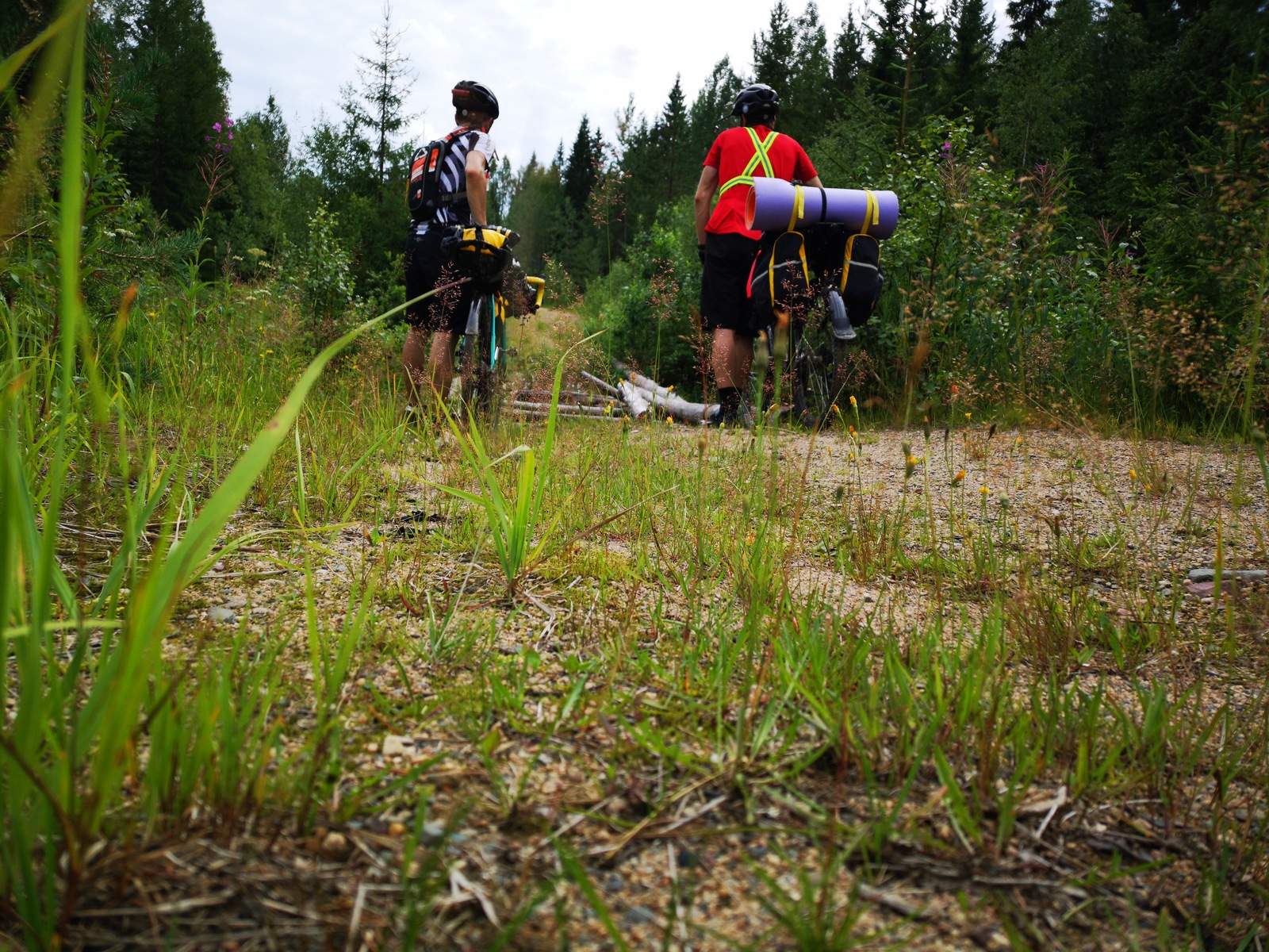 Tour Unite or dementia and courage. - My, A bike, Bravery and stupidity, , Bike ride, Bikepacking, Longpost