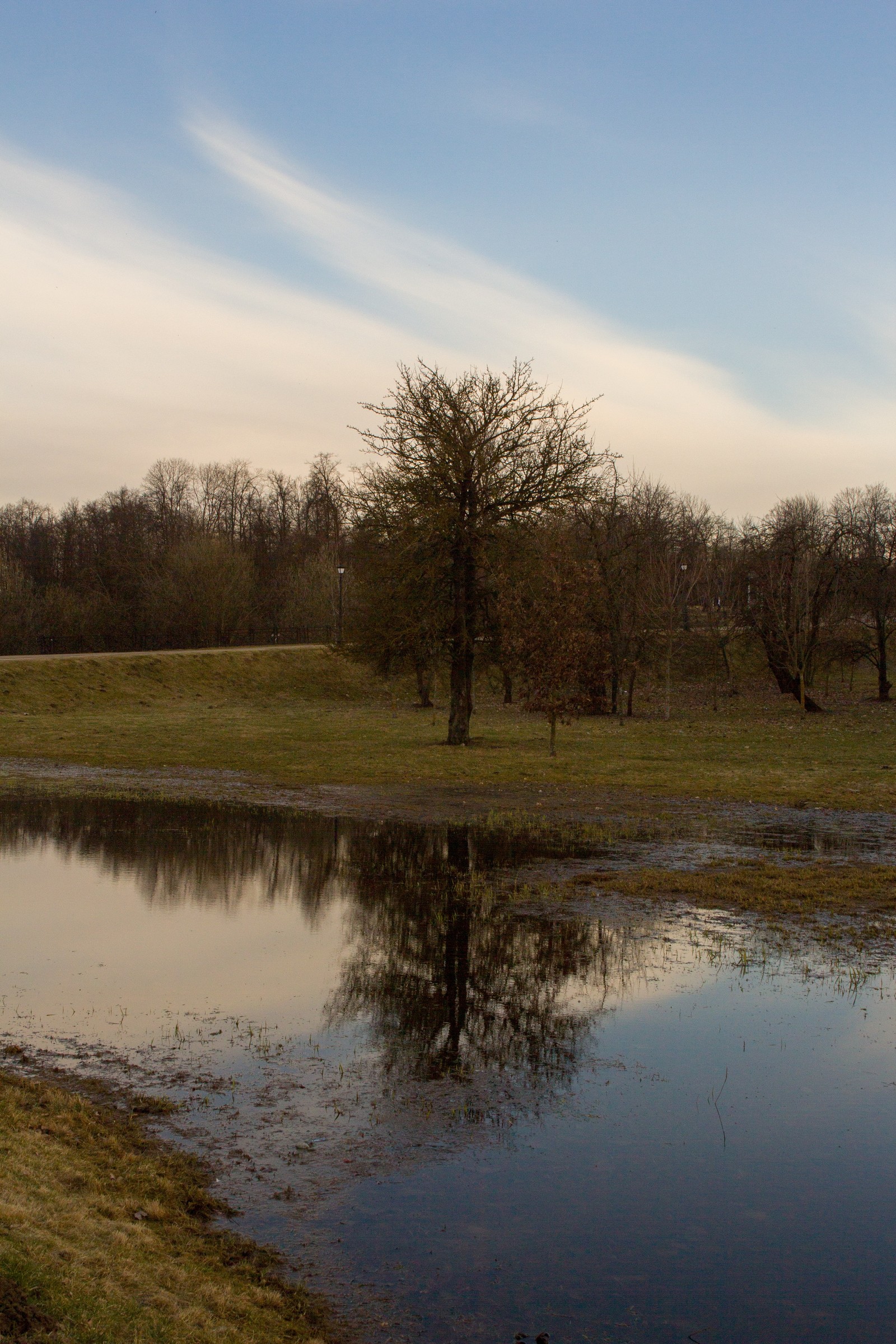 Nature in the middle of the city. (loshitsky park) - My, The photo, Beginning photographer, Minsk, Republic of Belarus, Loshitsky Park, Longpost