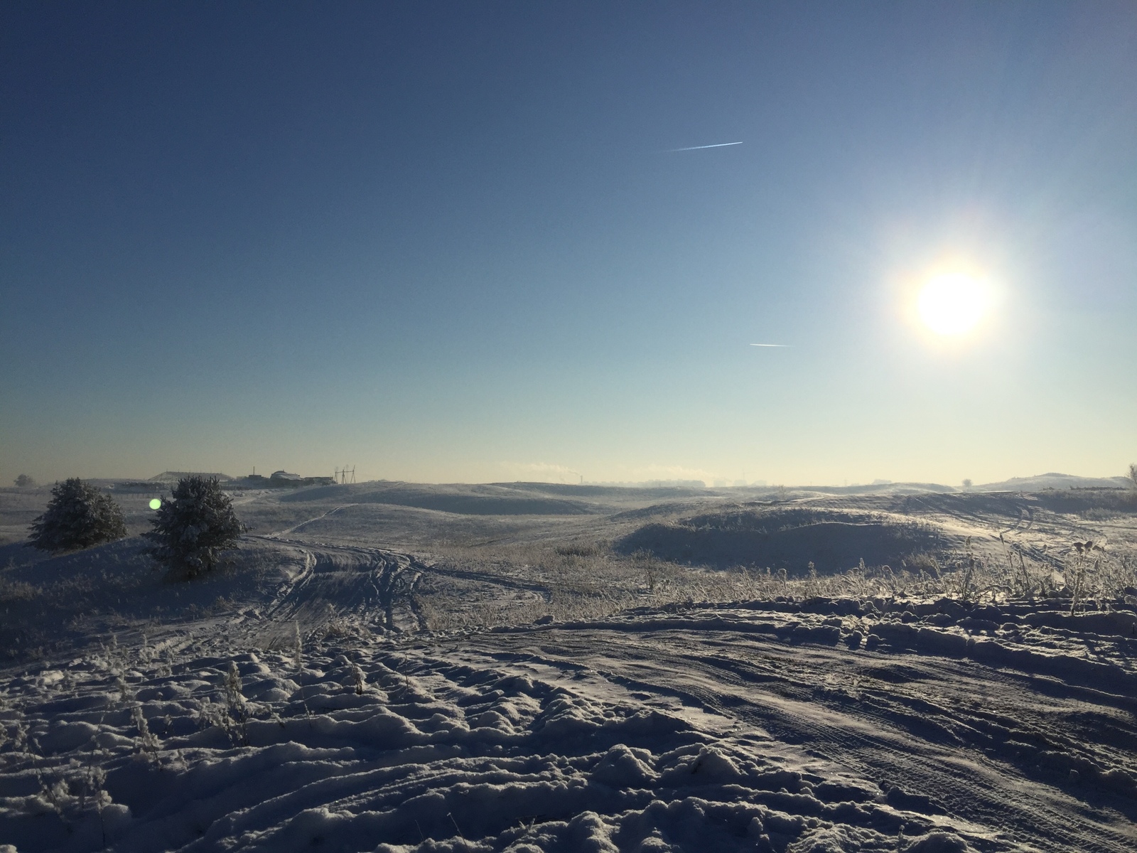 This amazing winter! - The photo, Winter, Longpost, Nature, The park